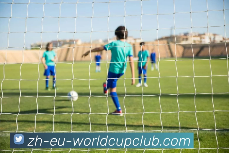 世界杯买球服务体系